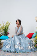 Hand-painted and Hand embroidered Pastel Blue Silk Organza Swan Lehenga